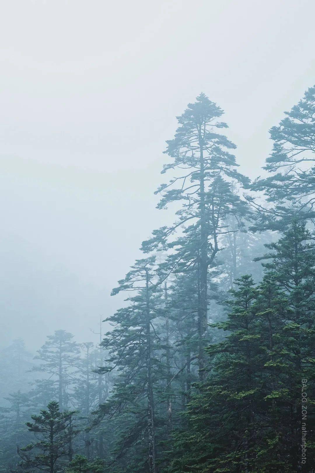 石油骚动